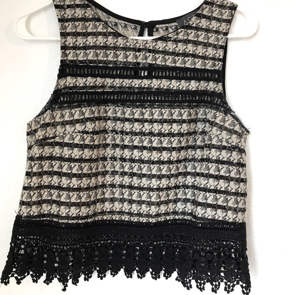 Black and Beige Lace Crop Top